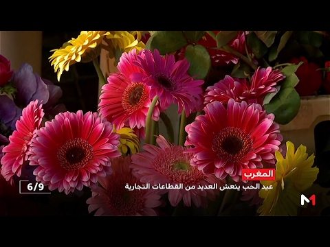 بالفيديو الاحتفال بعيد الحب ينعش العديد من القطاعات التجارية في المغرب