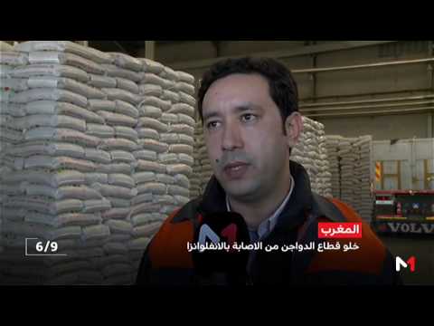 شاهد  الدواجن التي يتم انتاجها على المستوى الوطني