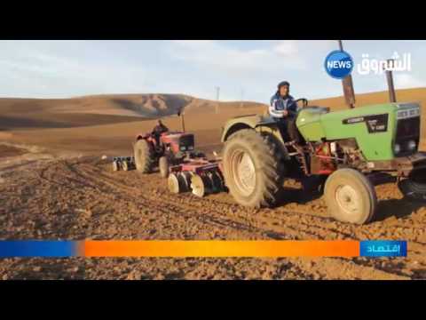 بالفيديو قانون جديد للمحميات لحماية الموال الحقيقي