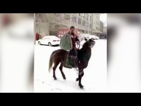 شاهد عمال الدليفري يركبون الأحصنة