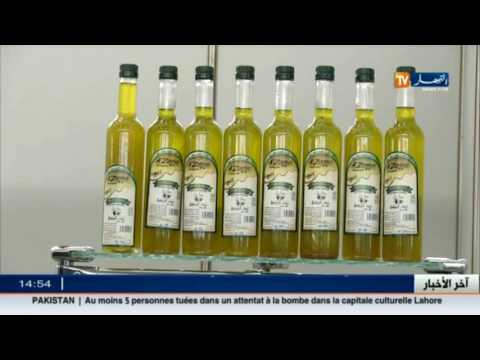 شاهد زيت الزيتون ثروة تغض الجزائر عنها البصر
