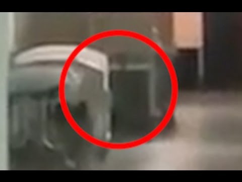 شاهد رعب كبير لدى العاملين في أحد المستشفيات بسبب شبح