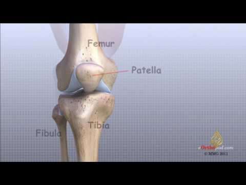 شاهد آلام الركبة إزعاج تخففه التمارين الرياضية