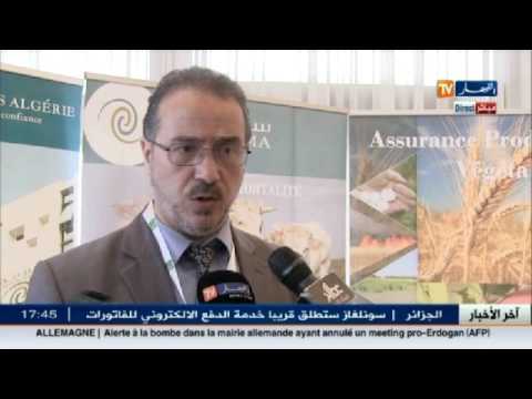 التأمين التكافلي صيغة تتماشى مع الشريعة الإسلامية