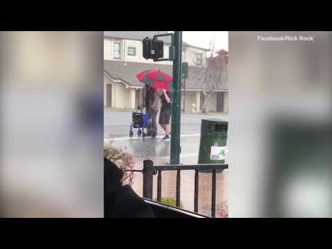 طفل يقدم درسًا في الأخلاق