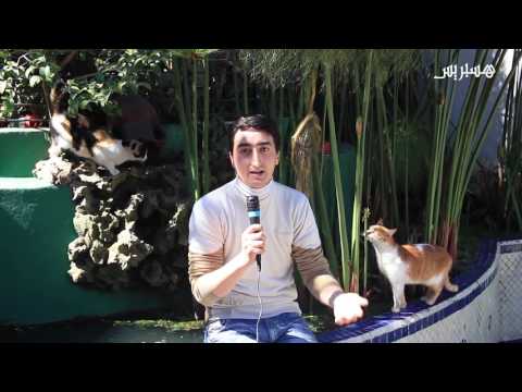 مديرة مركز ليوشندي تتفقد الوحدات البيطرية في طنجة