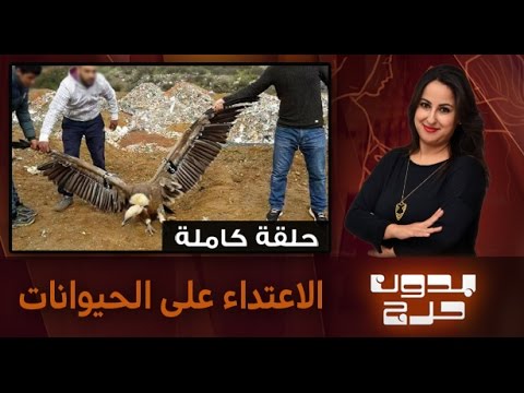 تزايد ظاهرة الاعتداء على الحيوانات في المغرب