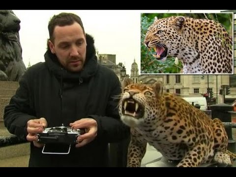 نمر آلى يخطف الأنظار في بريطانيا والهدف نبيل