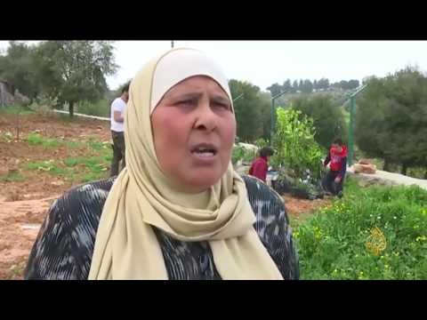 بالفيديو تحويل البيوضة الأردنية إلى واحة خضراء