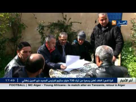 شاهد الموافقة على منح رخص استيراد الموز لـ 6 متعاملين