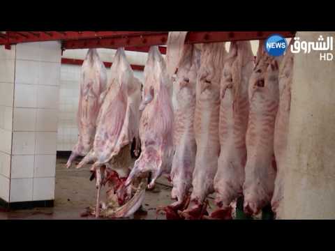 الجزائر توقف استيراد اللحوم من البرازيل مؤقتًا