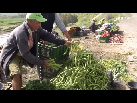 شاهد تجارة الخضروات على الطريق