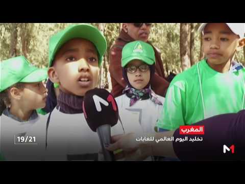 نشاط بيئي بغابة بوسكورة تخليدا لليوم العالمي للغابات