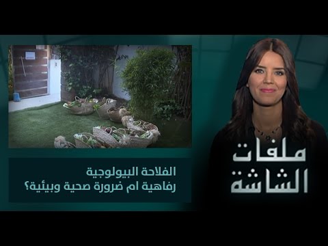 بالفيديو الزراعة البيولوجية ما بين الرفاهية والضرورة الصحية