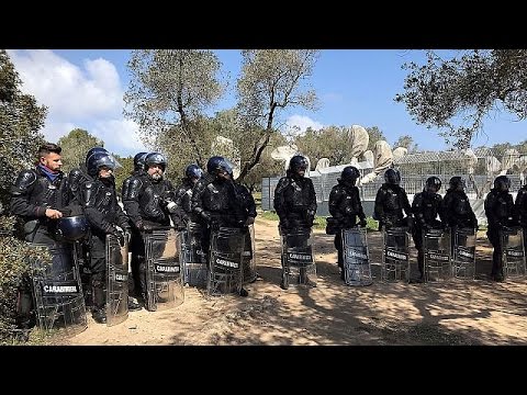 مظاهرات في إيطاليا ضد اقتلاع أشجار الزيتون لمد أنابيب الغاز