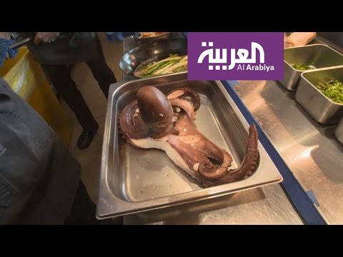 طبق الأخطبوط المبهّر مع الخضار ضمن برامج السياحة في أورلاندو