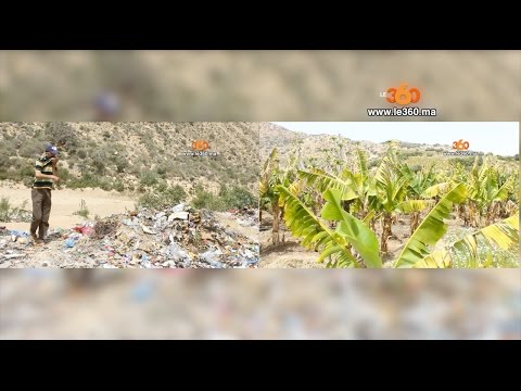 كارثة بيئية تهدد الضيعات الفلاحية في أغادير