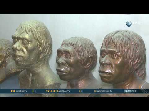 متحف التاريخ الطبيعي في العراق رحلة عبر الزمن في بلاد الرافدين