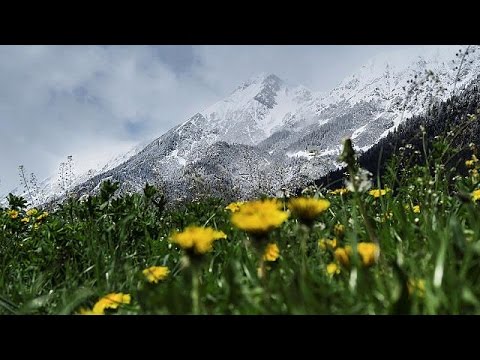 موجة باردة تضرب العديد من الدول الأوروبية