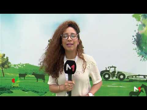 أجواء انطلاق الدورة الثانية عشرة للمعرض الدولي للزراعة