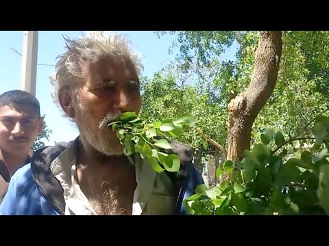 مسن باكستاني يعيش على تناول أوراق الشجر والأخشاب