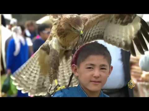 شاهد  الصيد بالطيور الجارحة من تراث قرغيزيا