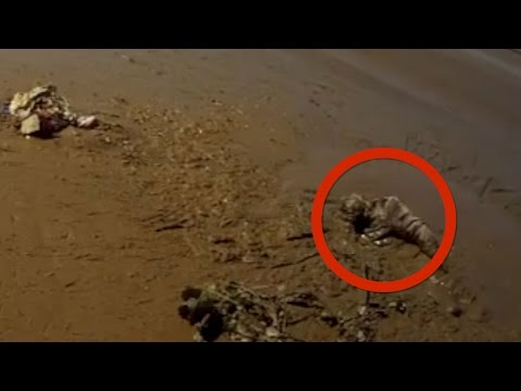 الوحل يبتلع ثمانينية وقوة إرادتها تنقذها بعد 20 ساعة