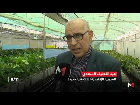 شاهد إشكاليات الإنتاج وتزايد الطلب الخارجي