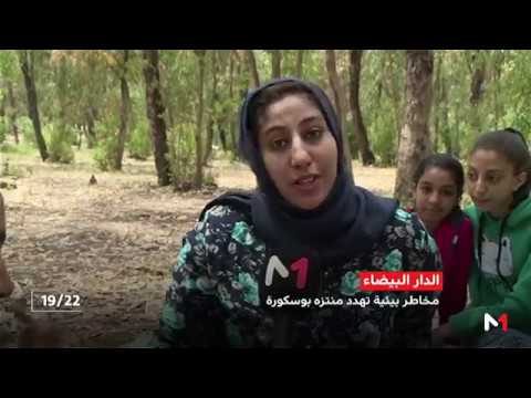 شاهد مخاطر بيئية تهدد المتنفس الغابوي بوسكورة