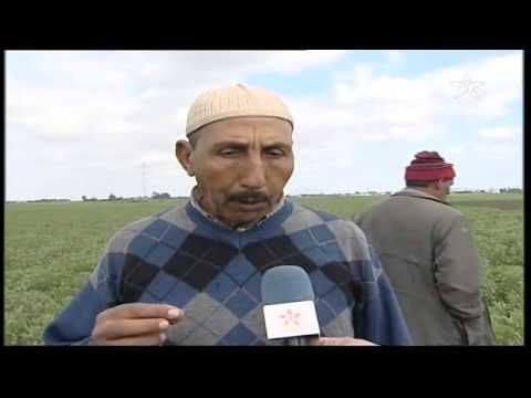 محاربة الأعشاب الطفيلية في الأراضي الزراعية