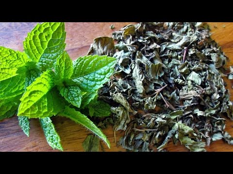 بالفيديو طريقة تجفيف النعناع في المنزل