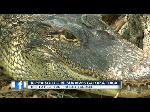 بالفيديو طفلة تنجو بحياتها من فك تمساح بواسطة حيلة ذكية