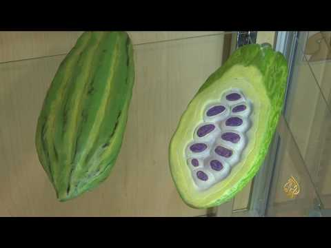 مُتحف خاص بالشيكولاتة في مدينة نيويورك الأميركية