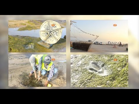 بالفيديو  اكتشاف ديناصور نادر بأربعة أصابع في أغادير