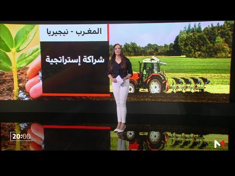 شاهد أهم مظاهر العلاقة الإستراتيجية بين المغرب ونيجيريا