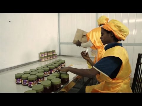 شاهد  إثيوبيا تسعى لتحسين إنتاجها للعسل