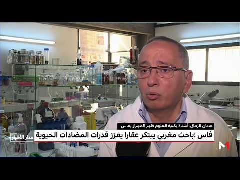 شاهد باحث مغربي يبتكر عقارًا يعزِّز قدرات المضادات الحيوية
