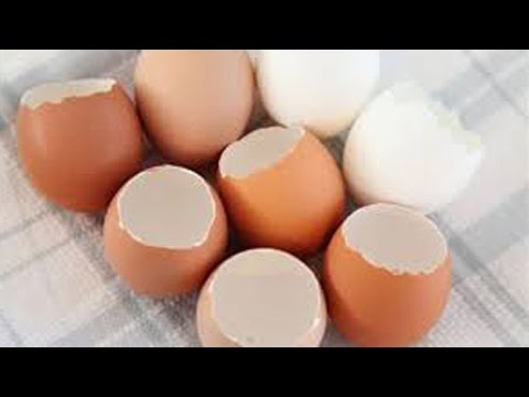 بالفيديو  لن تقوم برمي قشر البيض أبدًا