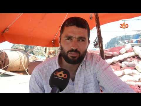 شاهد معاناة البحارة مع سمك النيكرو