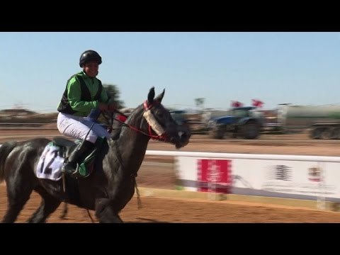 شاهد فارسة سباقات شابة في مضامير الخيل المغربية