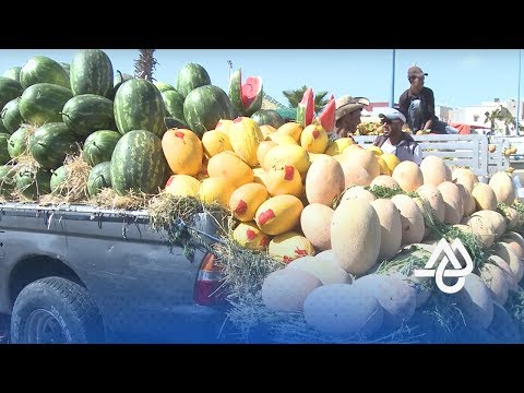 بالفيديو   رواج تجارة الفواكه