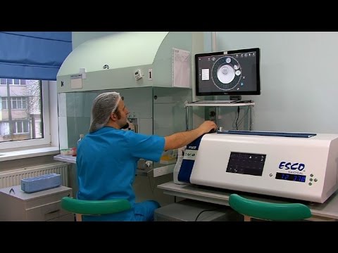 طبيب أوكراني رائد في تقنية التلقيح لأطفال من ثلاثة آباء