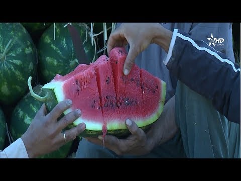 شاهد فوائد تناول البطيخ الأحمر في رمضان