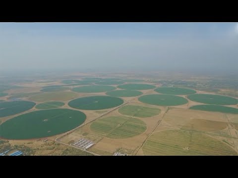 الصين تكافح التصحر بـالدوائر الخضراء العملاقة