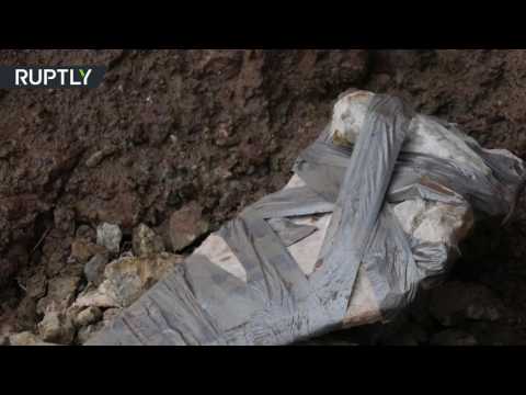 شاهد العثور على بقايا عظام ديناصور كبير