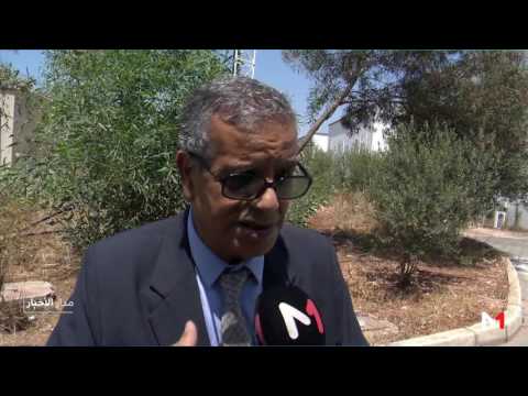 شاهد نصف المنتجات الغذائية في المغرب مصيرها القمامة