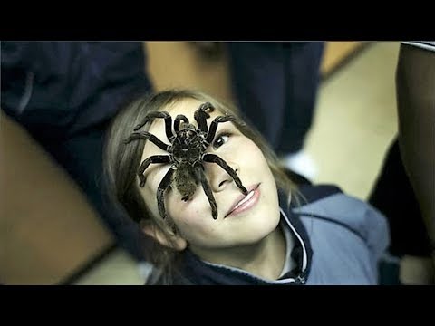 شاهد 7 حيوانات أخطر مما تتوقع تعيش مع أصحابها ويعتبرونها مثل أولادهم