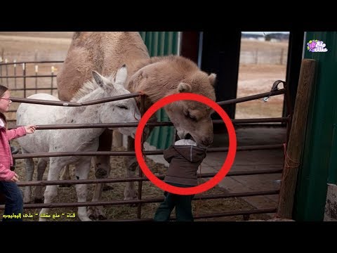 شاهد أغرب 5 أحداث وقعت في حدائق الحيوان وأكثرها رعبًا