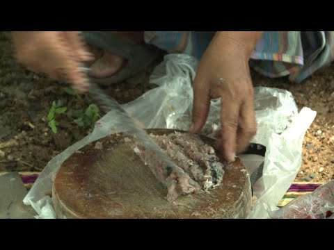 شاهد  أطباء تايلاند يتصدون لطبق أسماك تقليدي