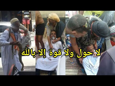 شاهد أفعى سامة تلدغ مروضها بينما كان يستعرض مهاراته